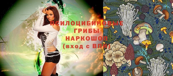 тгк Аркадак