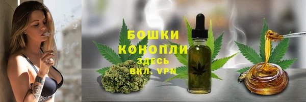 тгк Пестово