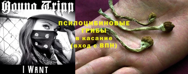каннабис Арсеньев